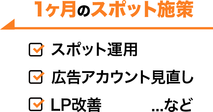 1ヶ月のスポット施策・スポット運用・広告アカウント見直し・LP改善...など